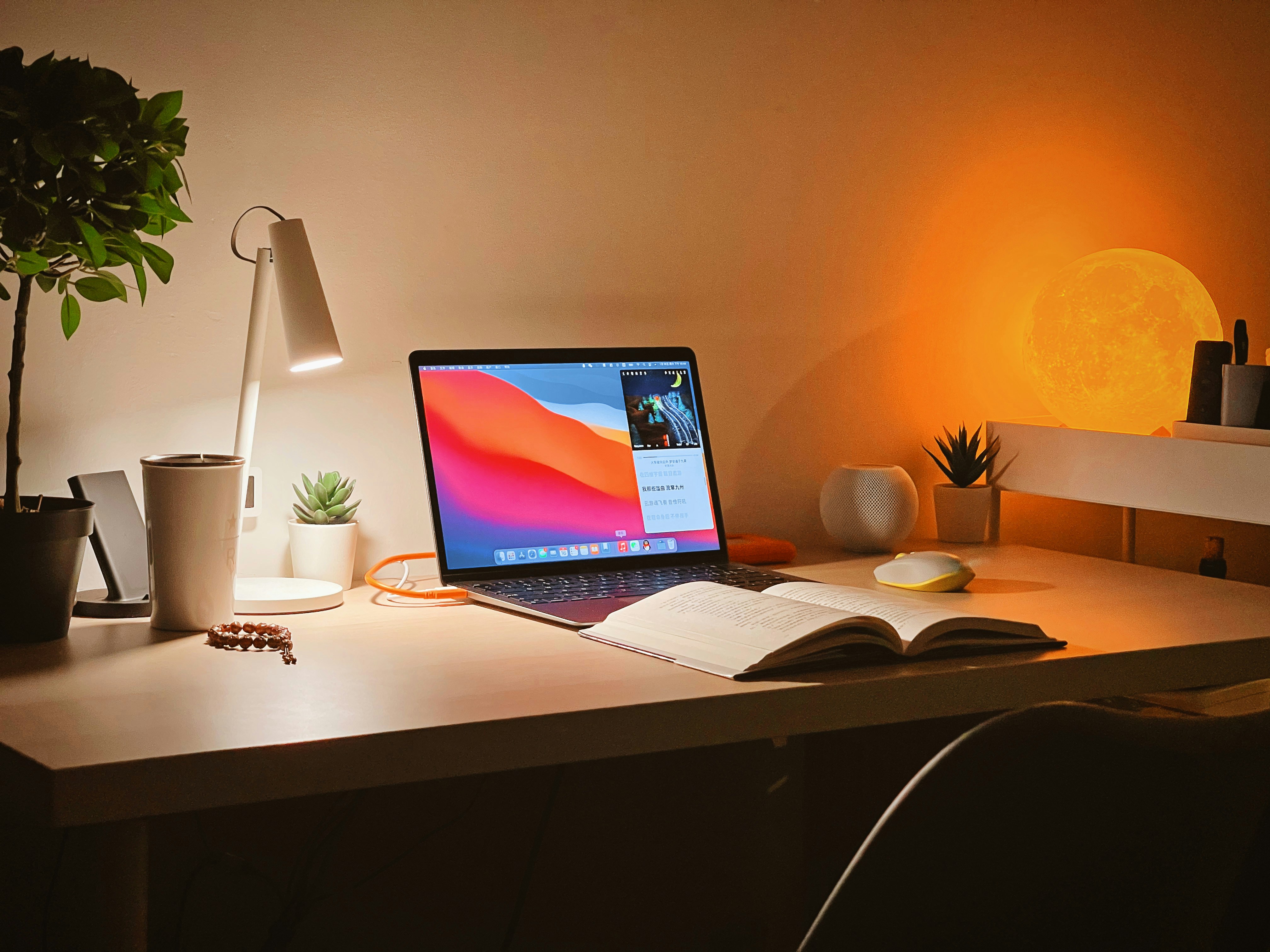 Study Environment